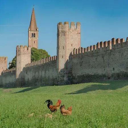 Lägenhet Dei Dogi Montagnana (Veneto)